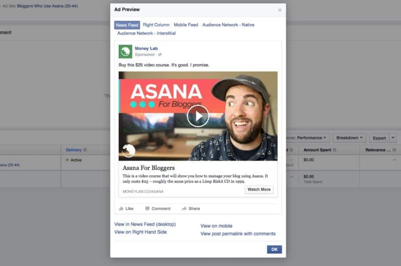 Asana for Bloggers Facebook Video Ad