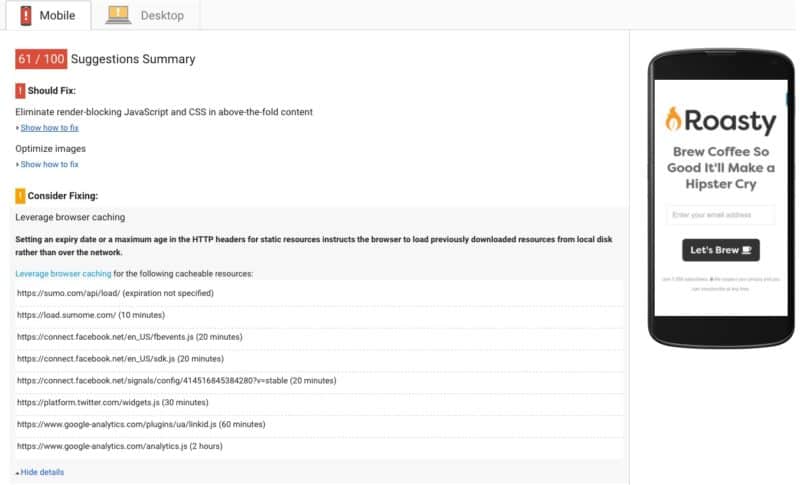 Pagespeed Insights for Roasty Coffee Before Optimization