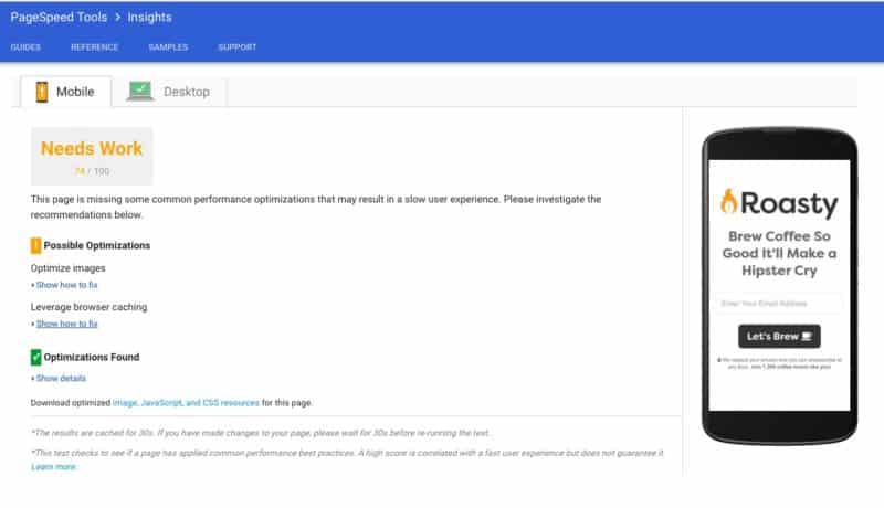 Google PageSpeed Insights Roasty Coffee