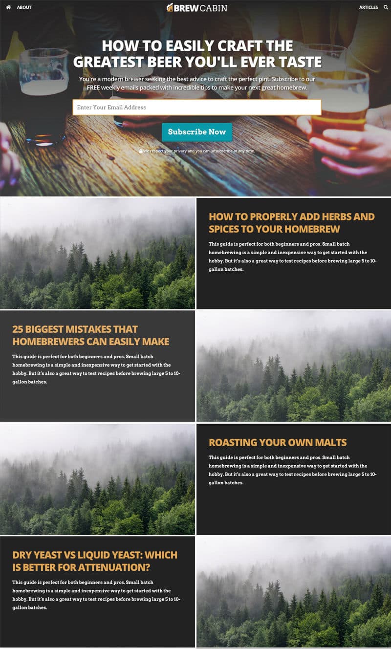 Brew Cabin website Mockup with Stand-in Images