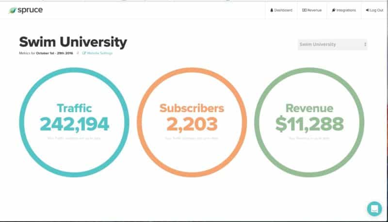 The New Design Of The Spruce Single Website Dashboard