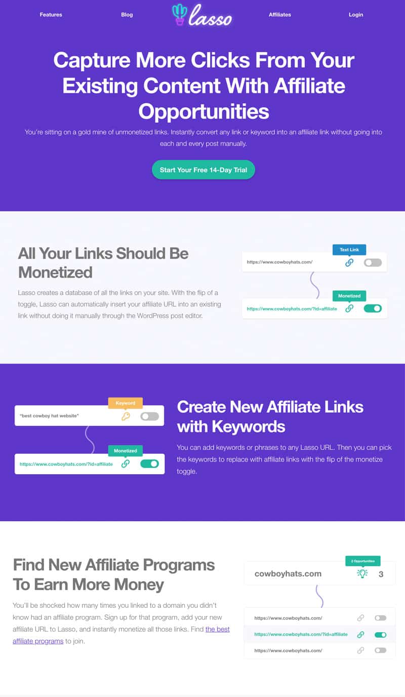 Affiliate Link Opportunities in Lasso