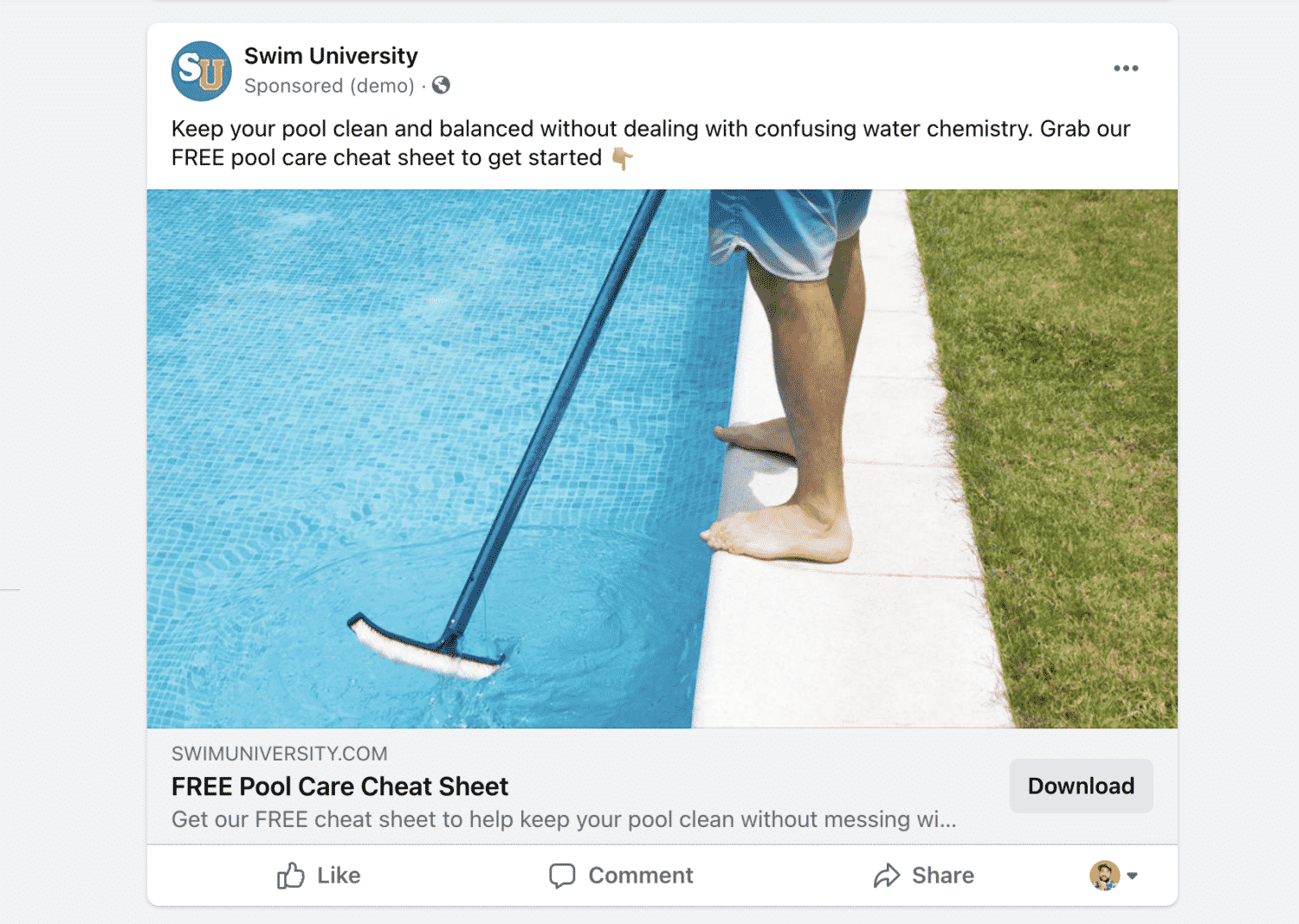 Pool Cheat Sheet Facebook Ad