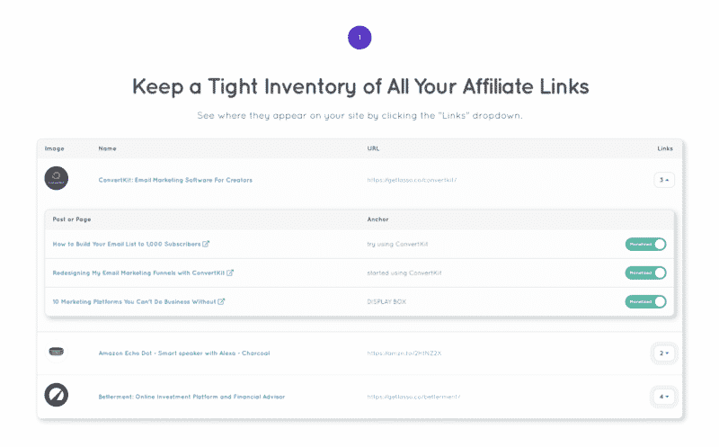 Lasso Interactive Inventory