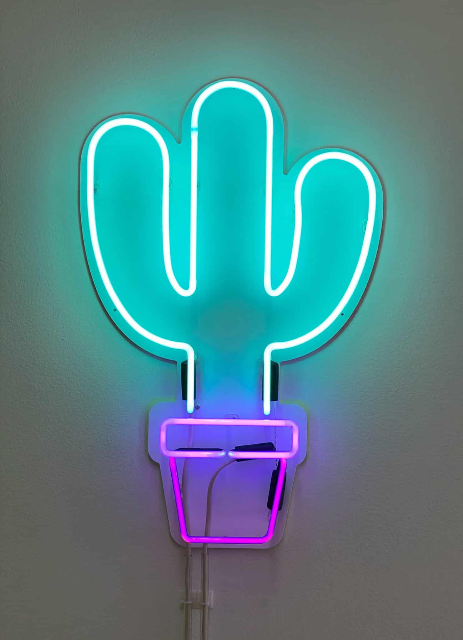 Lasso Neon Sign