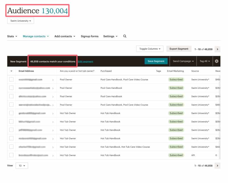 MailChimp Audience View